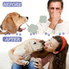 Before and after comparison showing a dog's mouth before and after using natural pet dental spray for oral care