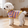 A fluffy white dog wearing a striped cotton t-shirt with yellow trim.