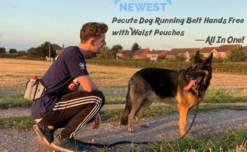 A man is shown using a pet running belt with waist pouches and a bungee leash to walk a dog outdoors.