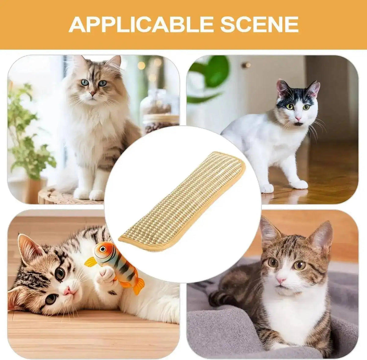 A cat is interacting with an interactive scratcher toy designed for cats.
