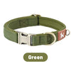 A green comfort-fit quick release dog collar with a silver buckle.