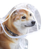 Ein Hund trägt einen transparenten wasserdichten Regenmantel und blickt zur Seite.