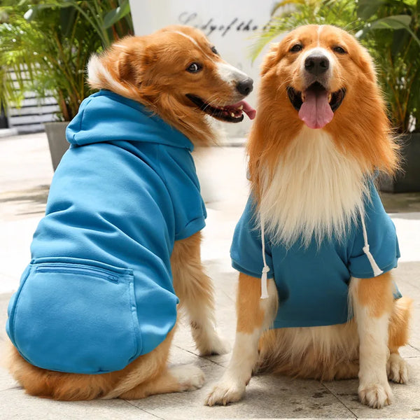 A golden retriever wearing a blue reversible plaid winter pet jacket sitting next to another dog.