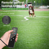 A hand holds a remote control for a dog training collar, demonstrating its features and range.