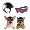 A set of pink pet safety helmet and goggles for a dog and a cat.