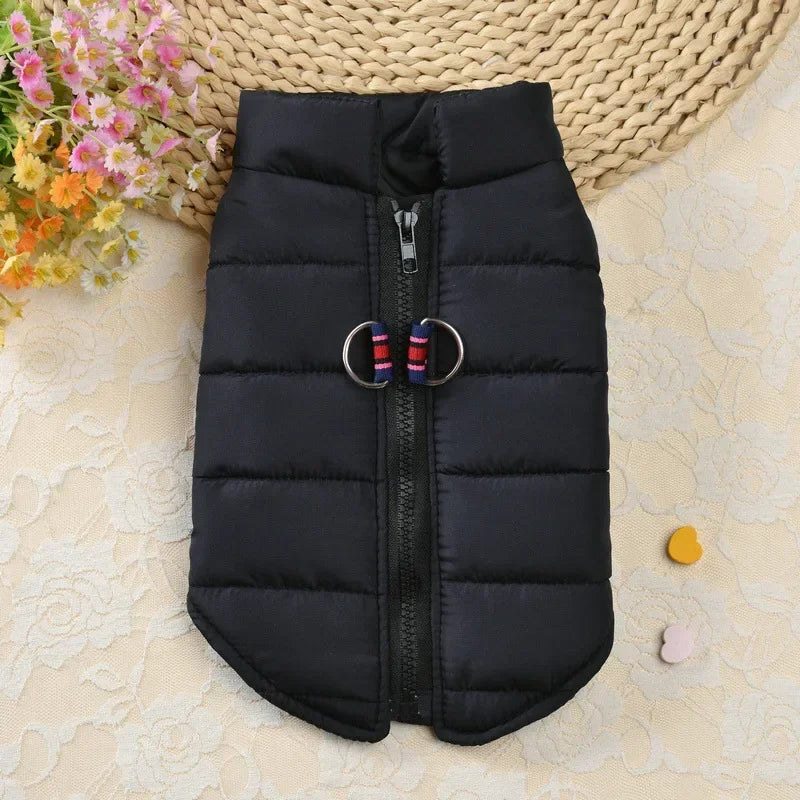 Black quilted padded dog coat jacket with red and blue patterned hardware lying on a light fabric surface.