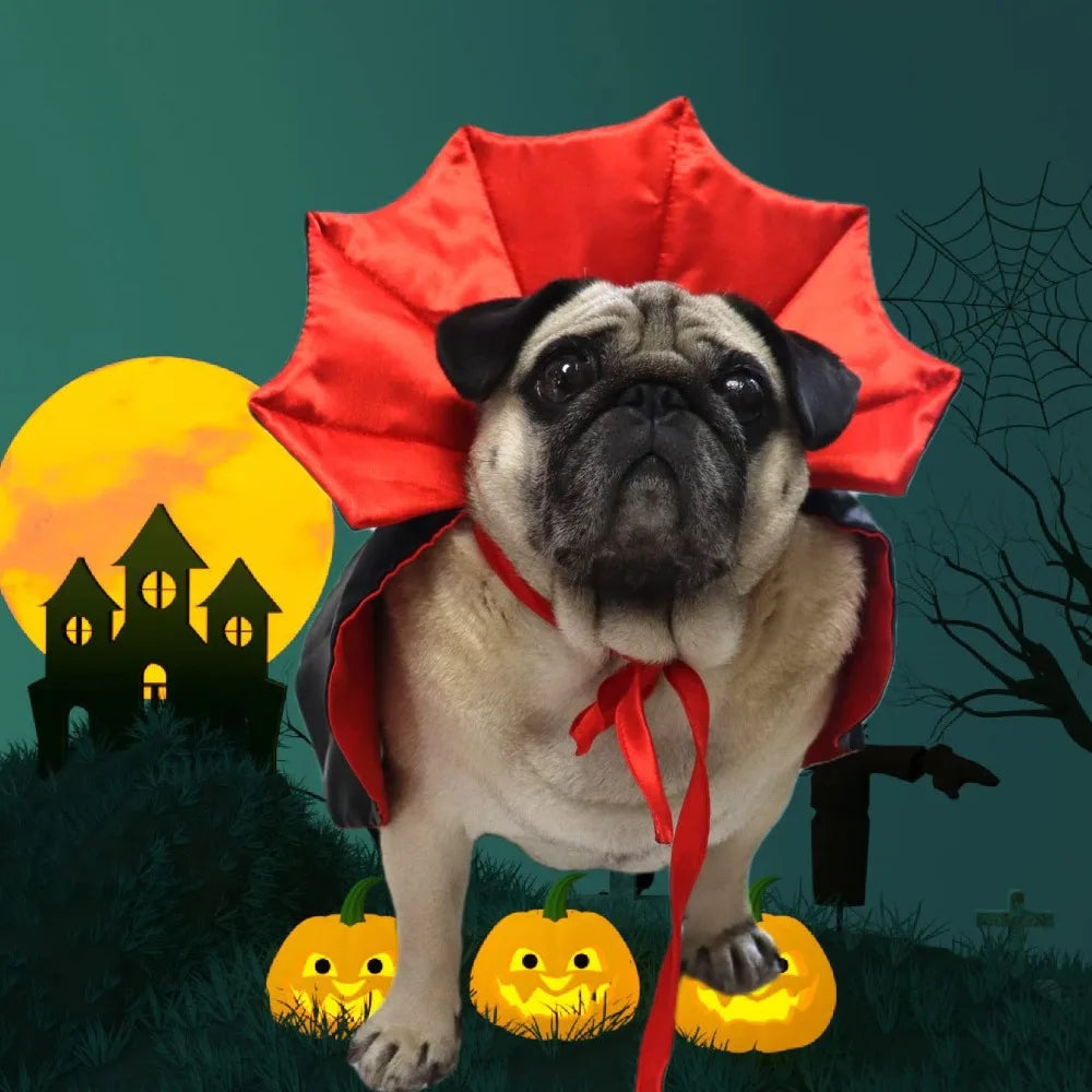 A pug dog wearing a red vampire cape with a yellow moon background.