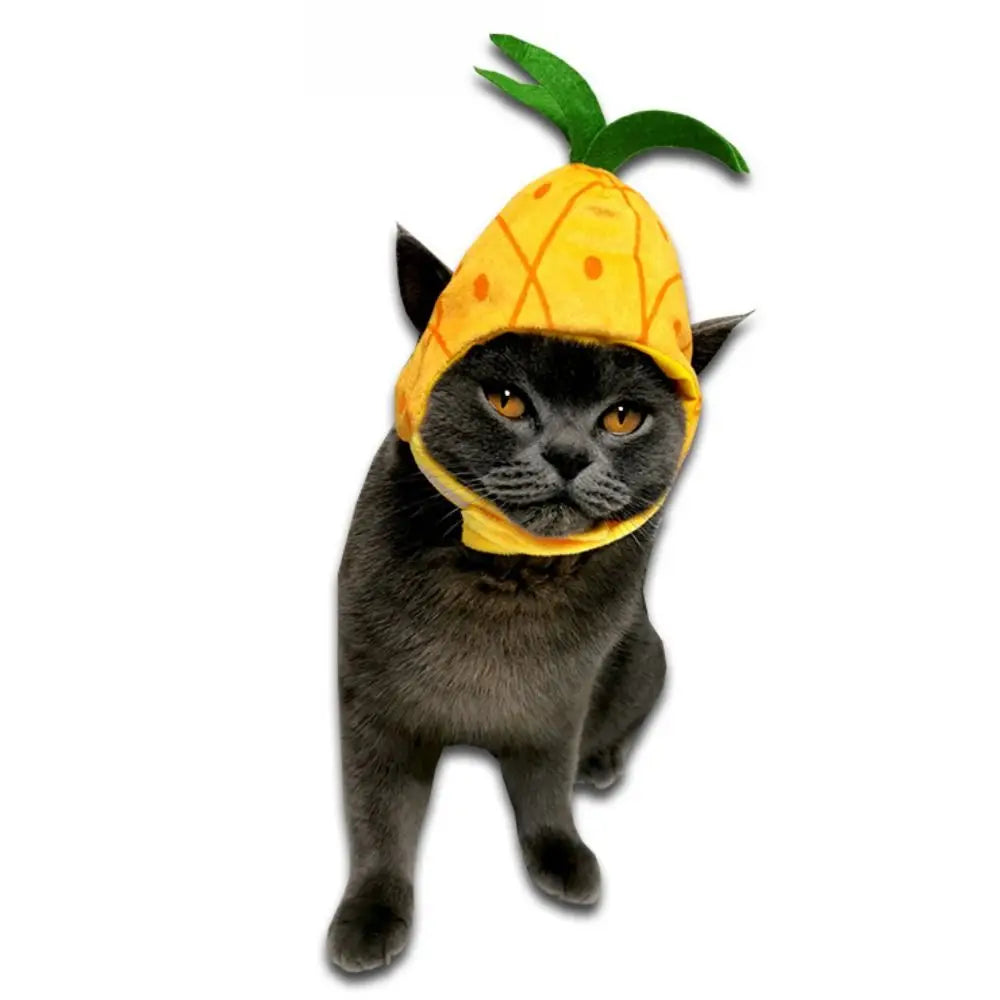 A black cat wearing a yellow fruit-shaped hat resembling a pineapple.