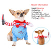 Chihuahua portant un costume de combinaison bleue et collier rouge pour Halloween.