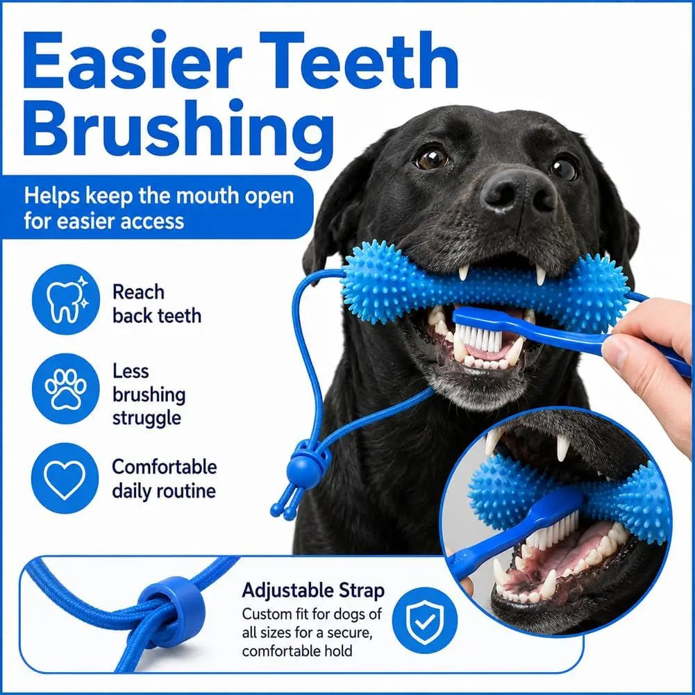 Un perro negro usa un juguete dental azul para ayudar a cepillarse los dientes más fácilmente.