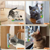 Edible catnip licking balls for dental health and play shown on a floor, wall, and window.