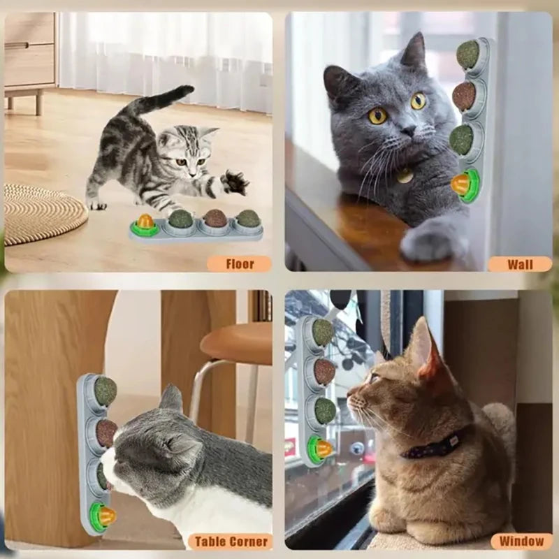 Edible catnip licking balls for dental health and play shown on a floor, wall, and window.