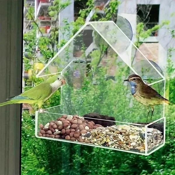A clear window hanging bird feeder with a pitched roof filled with various seeds and holding a green parrot.
