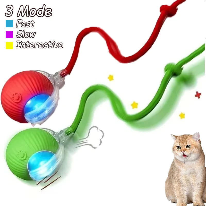 Three modes of an automatic interactive cat toy featuring a ball and a flexible tail in red, green, and blue.