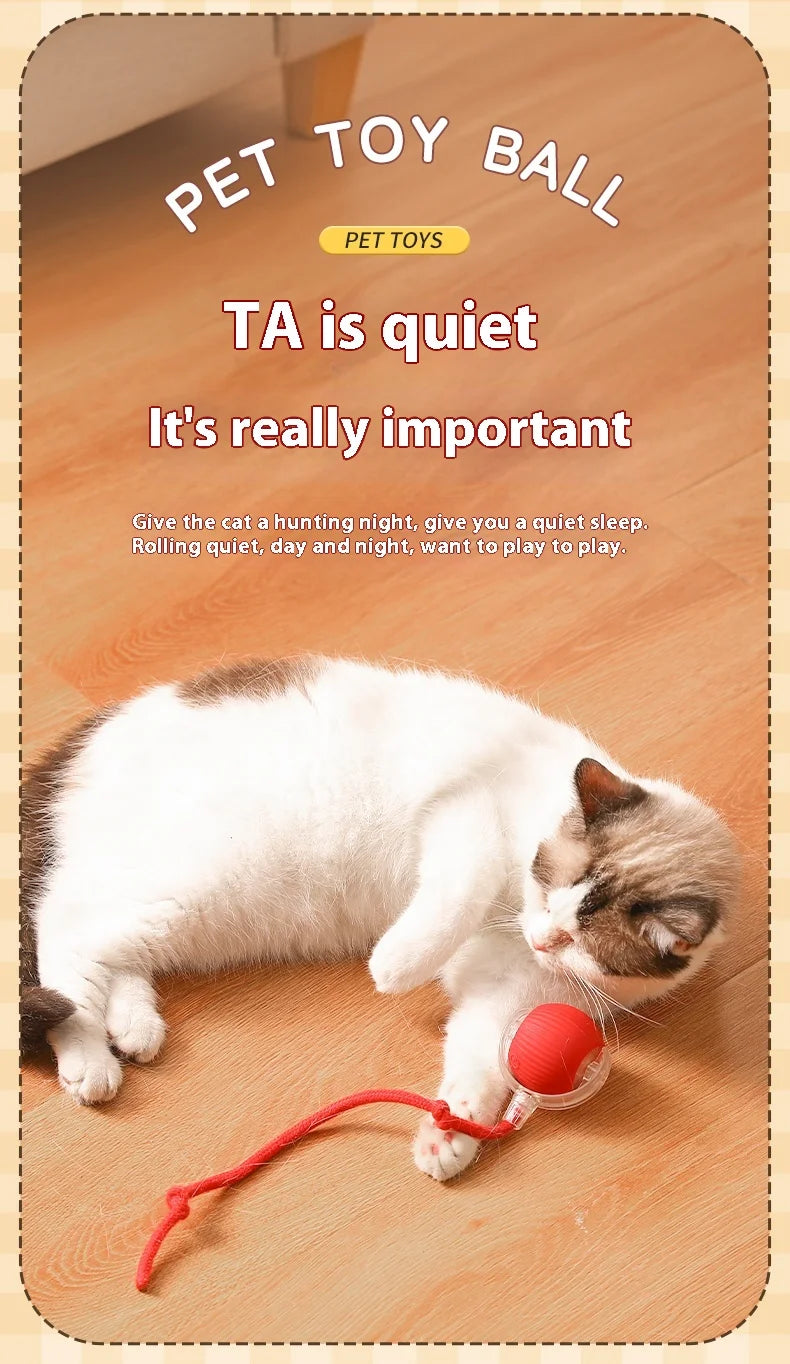 A white cat is playing with a red ball toy on the floor.