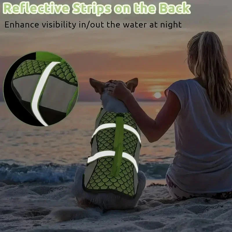A person is holding a dog wearing reflective strips on its back while near the ocean at sunset.