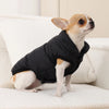 Un petit chihuahua portant une veste en polaire noire imperméable, assis sur un canapé blanc.