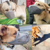 A golden retriever wearing a gray comfort mesh muzzle with adjustable straps.