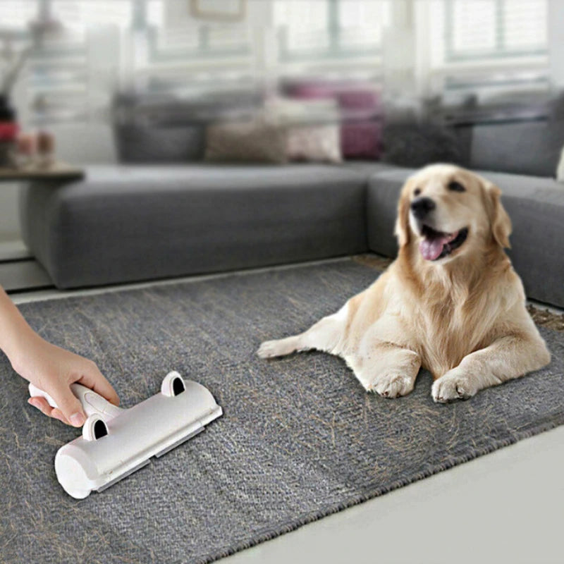 A hand is using a white reusable pet hair remover brush with suction on a gray rug in a living room setting.