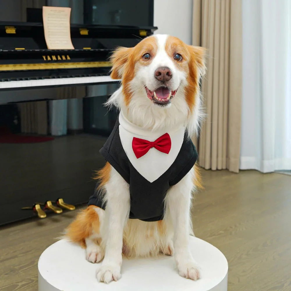 A happy dog wearing a black tuxedo costume with a red bow tie sitting on a white pedestal.