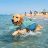 A golden retriever wearing a blue and green life jacket swims in clear ocean water.