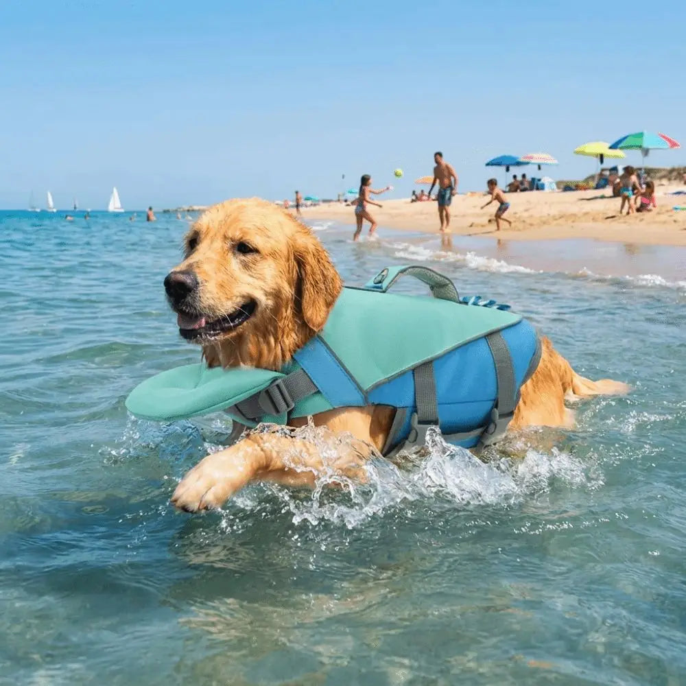 A golden retriever wearing a blue and green life jacket swims in clear ocean water.
