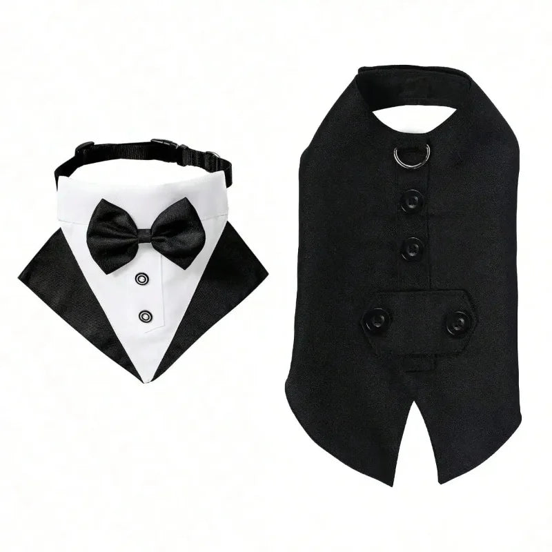 Black dog tuxedo featuring a black bowtie collar and matching jacket.