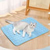 A gray cat is lying on a blue cooling pet mat on a light wooden floor.