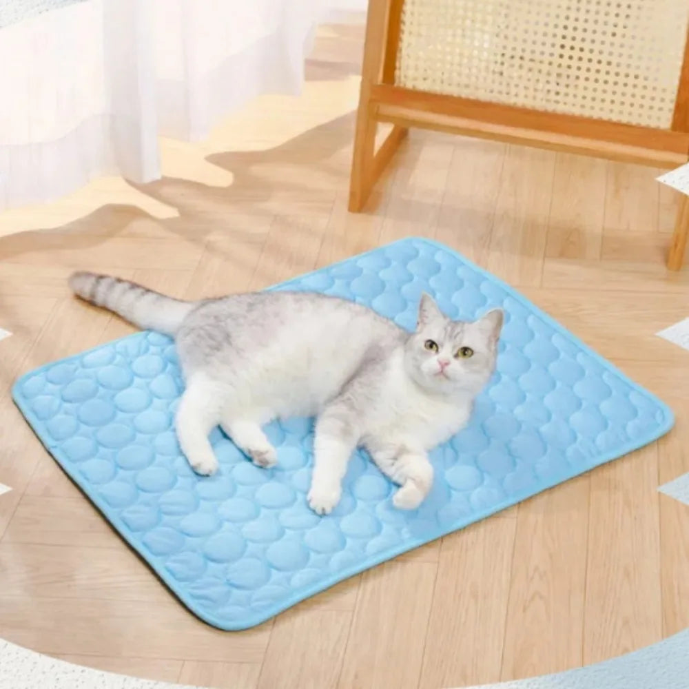 A gray cat is lying on a blue cooling pet mat on a light wooden floor.