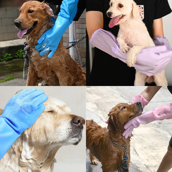 Hands wearing various colored grooming gloves gently holding and petting dogs.