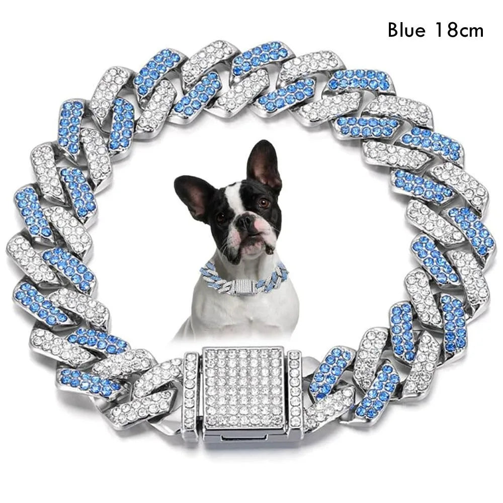 Silver diamond link pet collar for dogs with blue accents shown around a dog's neck