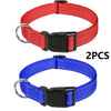 Two nylon dog collars, one red and one blue, with buckles.