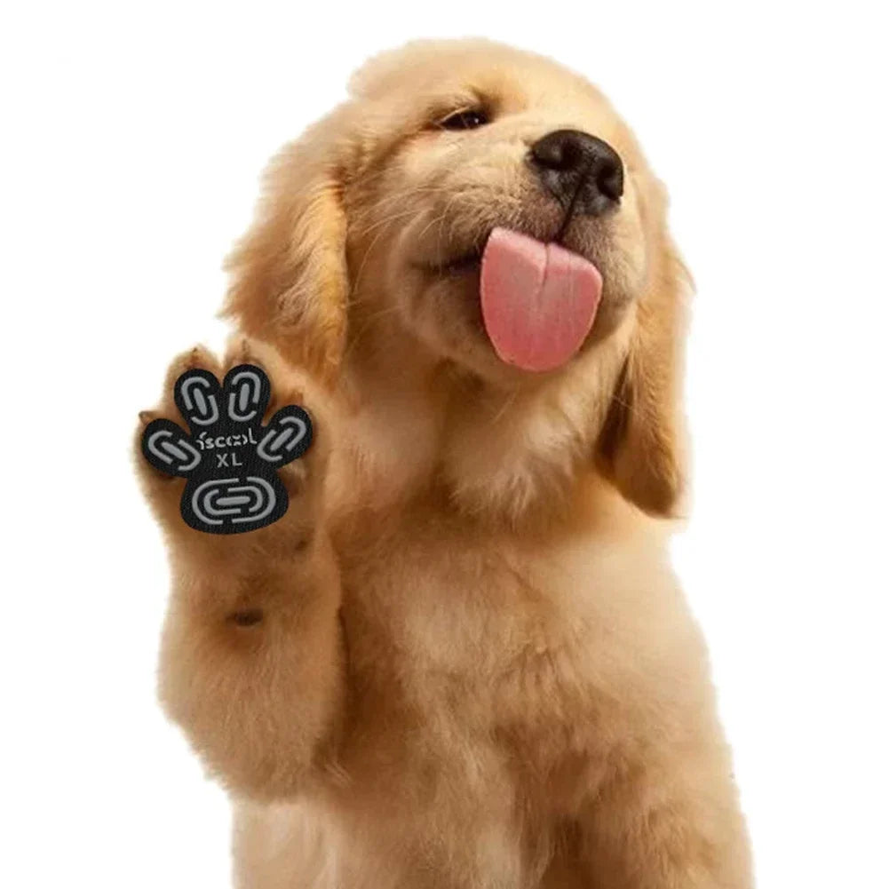 Ein golden retriever Welpe hält einen schwarzen Tierpfotengriff für rutschige Böden hoch.