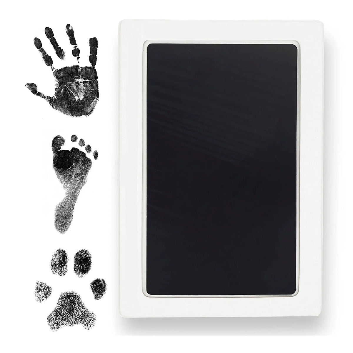 Un kit rectangulaire blanc contenant quatre empreintes de pattes d'animaux pour souvenirs.