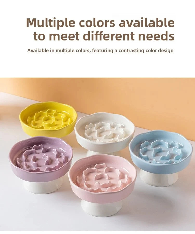 Un ensemble de plusieurs bols en céramique colorés à faible débit pour animaux, jaune, blanc, violet et bleu.