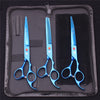 A set of professional stainless steel pet grooming scissors in blue housed in a black case.