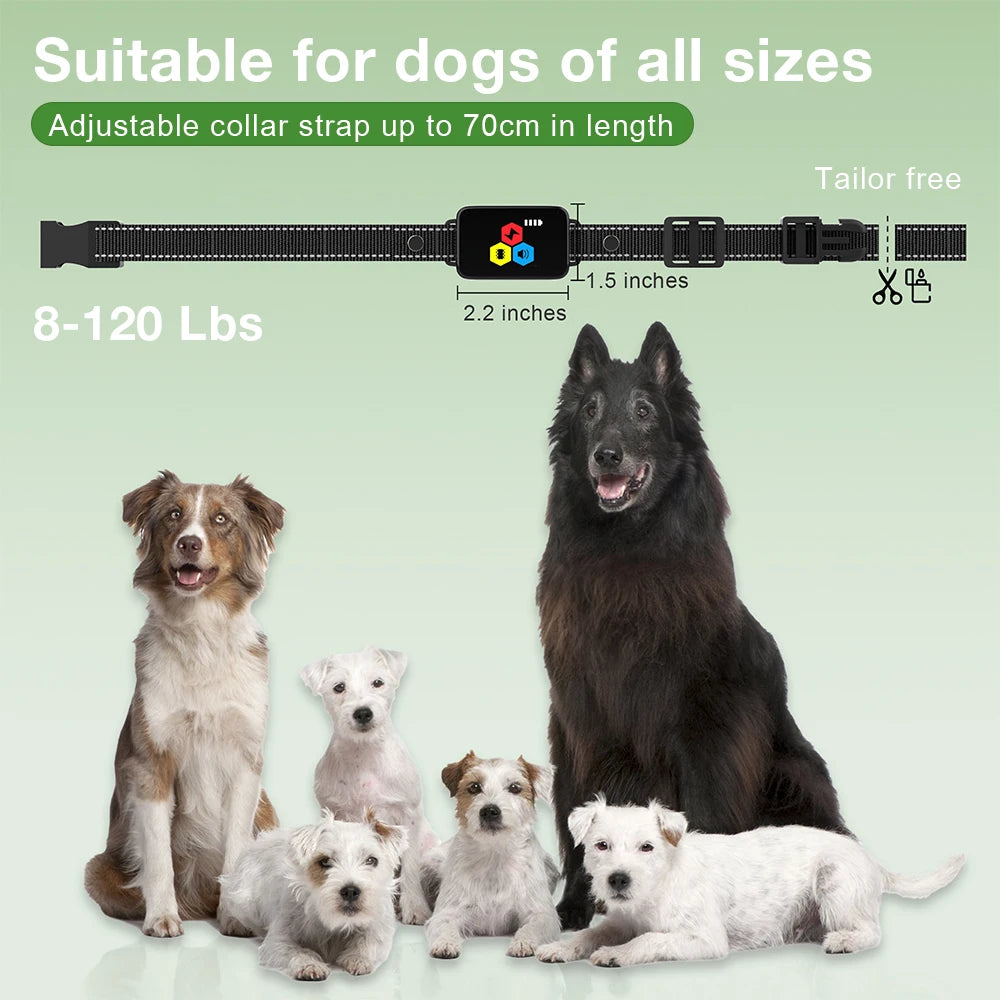A black adjustable dog training collar with a remote control and color screen is shown next to several dogs of various sizes.
