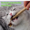 A cat is happily chewing a natural silvervine stick for dental health and relaxation.