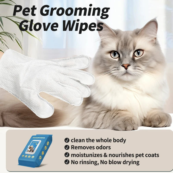A fluffy gray cat is resting next to a white glove wipe, demonstrating pet grooming tools.