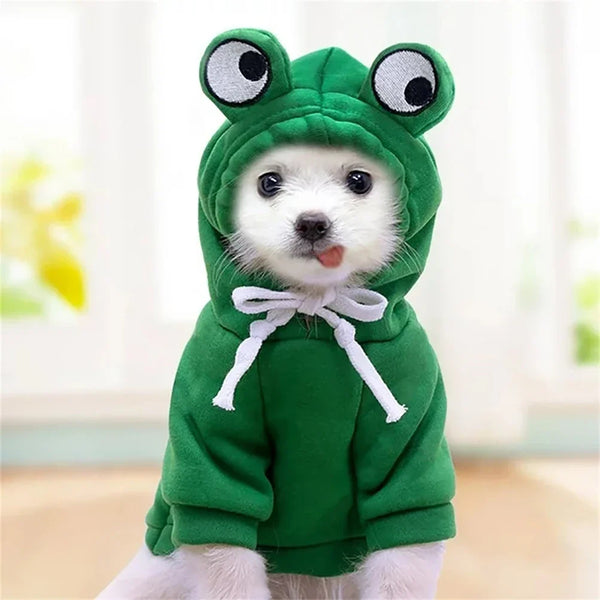 A cute frog-shaped hoodie for a dog, featuring green fabric and large eyes.