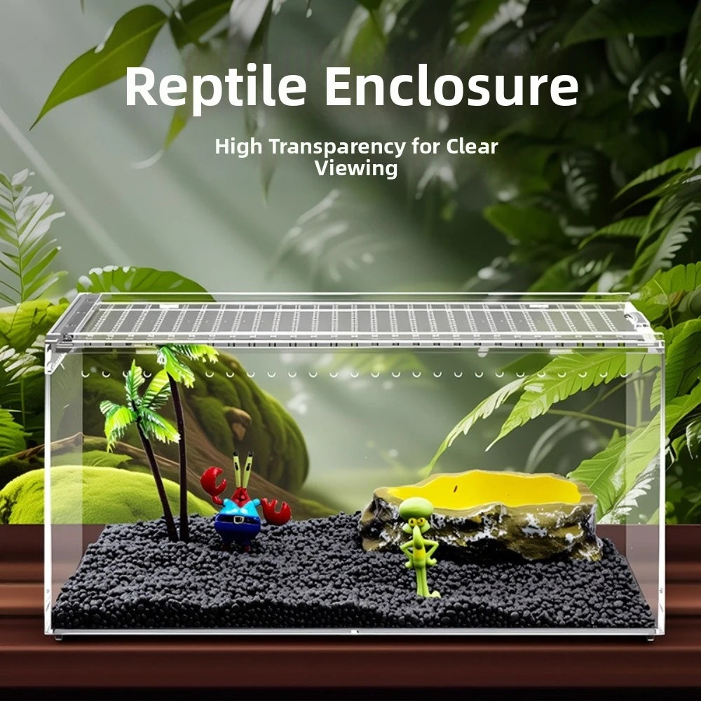Enclos pour reptiles en acrylique transparent avec couvercle en verre, substrat sombre et petit lézard vert à l'intérieur.