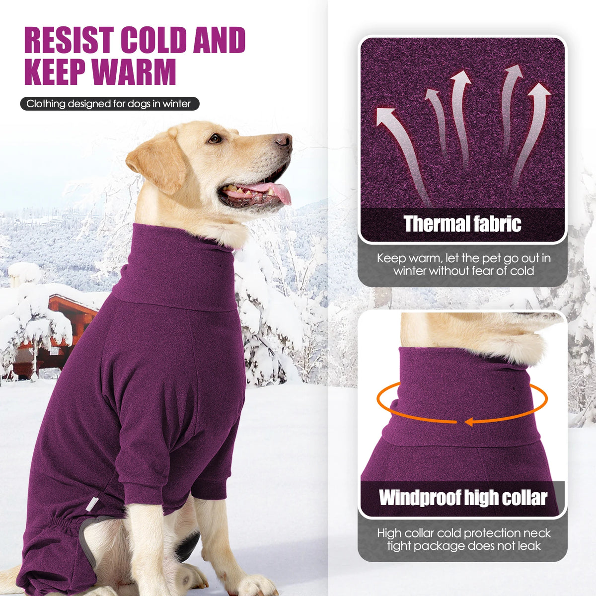A golden retriever wearing a purple thermal fabric jumpsuit designed to keep dogs warm in winter.