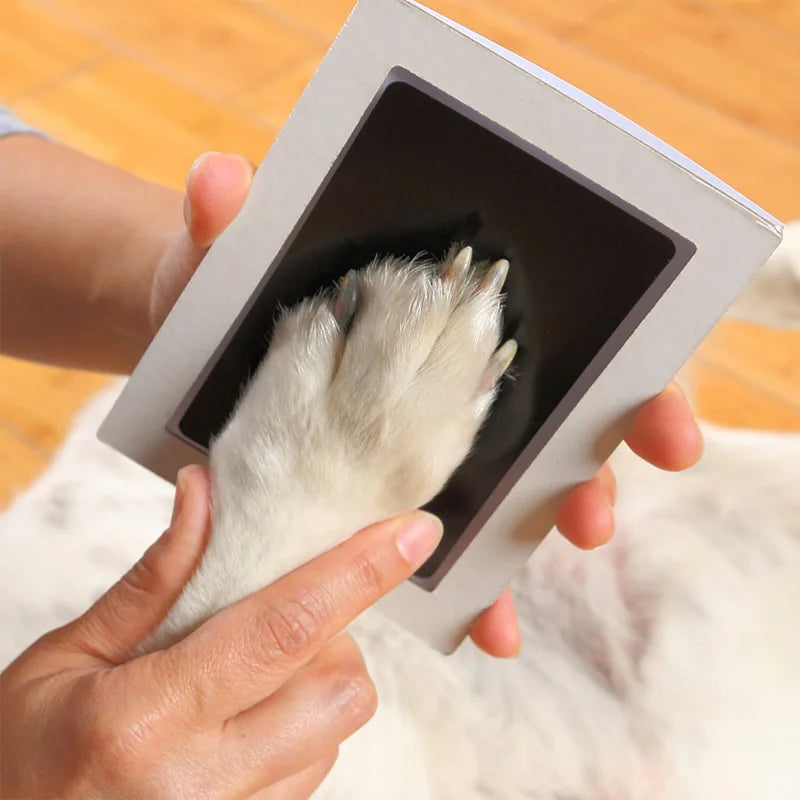 Une main tient un cadre carré contenant une empreinte de patte d'animal pour un kit souvenir.