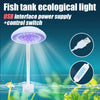 Weißes LED-Beleuchtungsgerät für einen Aquarium mit USB-Stromversorgung und Schalter.