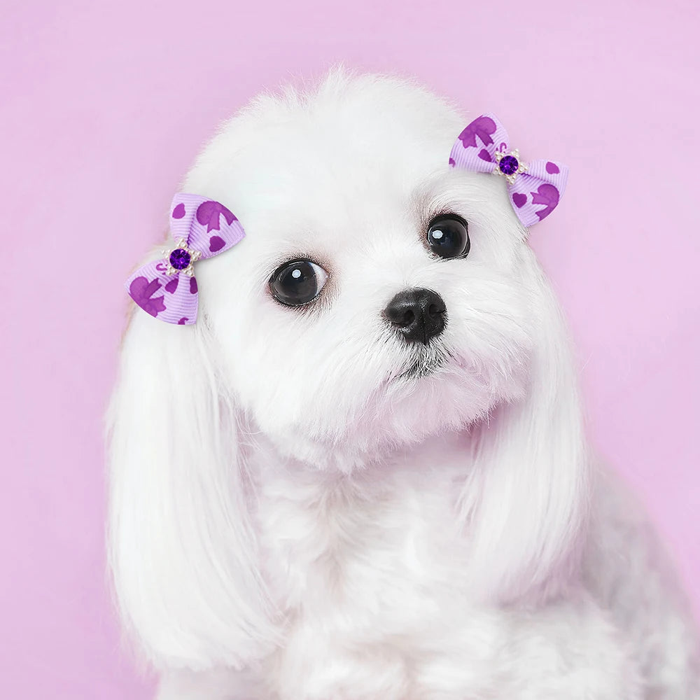 Ein weißer Pudelhund mit lila blumigen Haarbändchen auf dem Kopf.