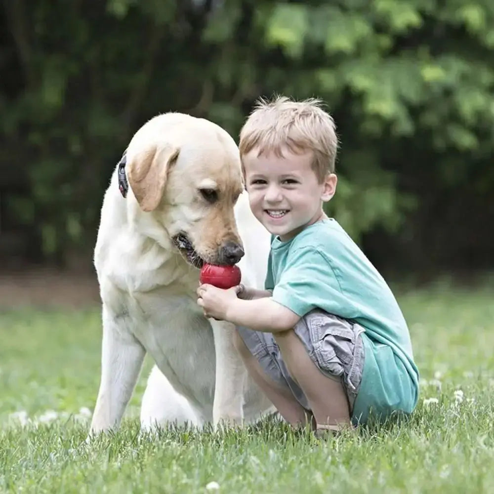 A young boy is smiling while a light-colored dog gently chews a red treat toy on the grass.