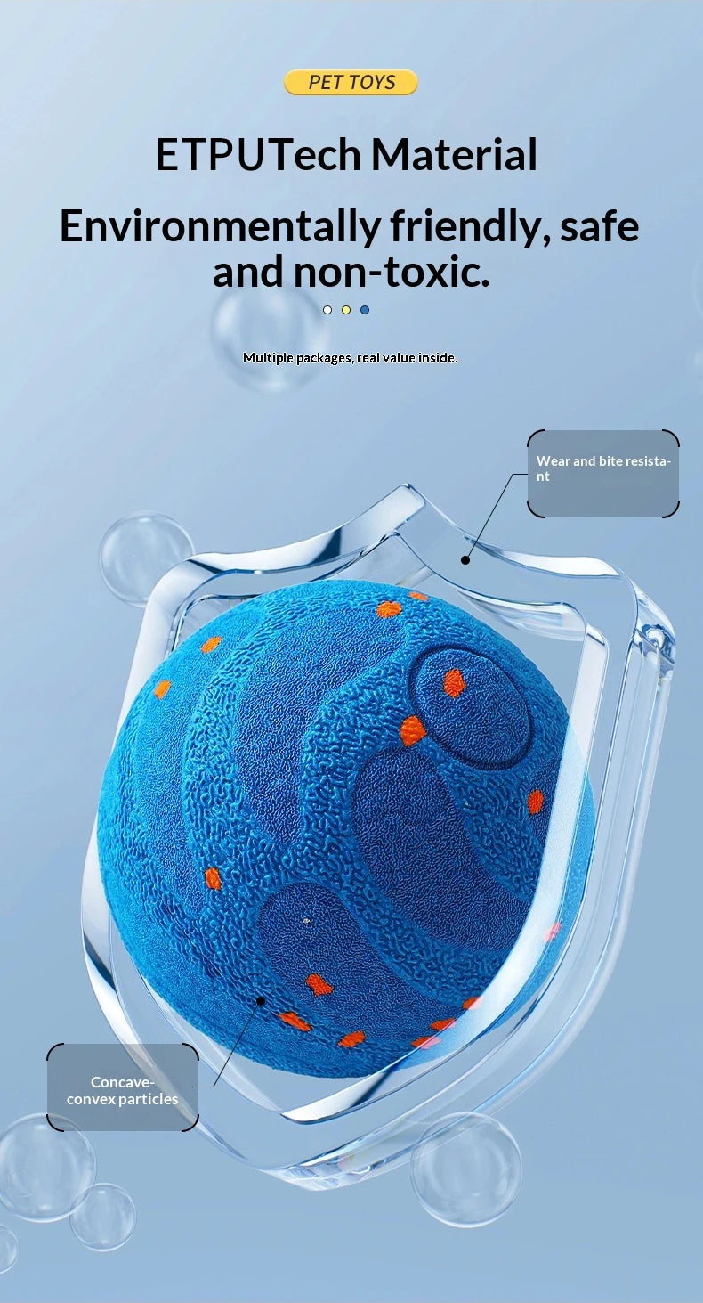 A clear, protective container holds a blue textured pet toy ball with orange accents.