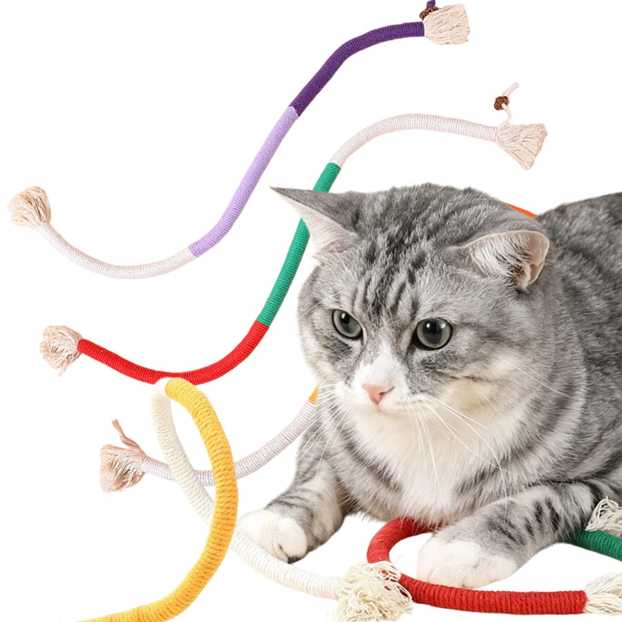 A gray tabby cat interacting with a colorful rope toy for teeth grinding.