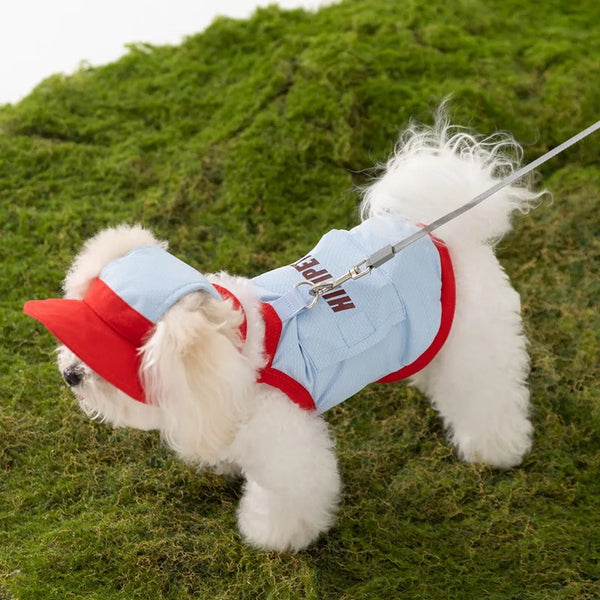 A white dog wearing a light blue vest and red hat, outdoors on green grass.