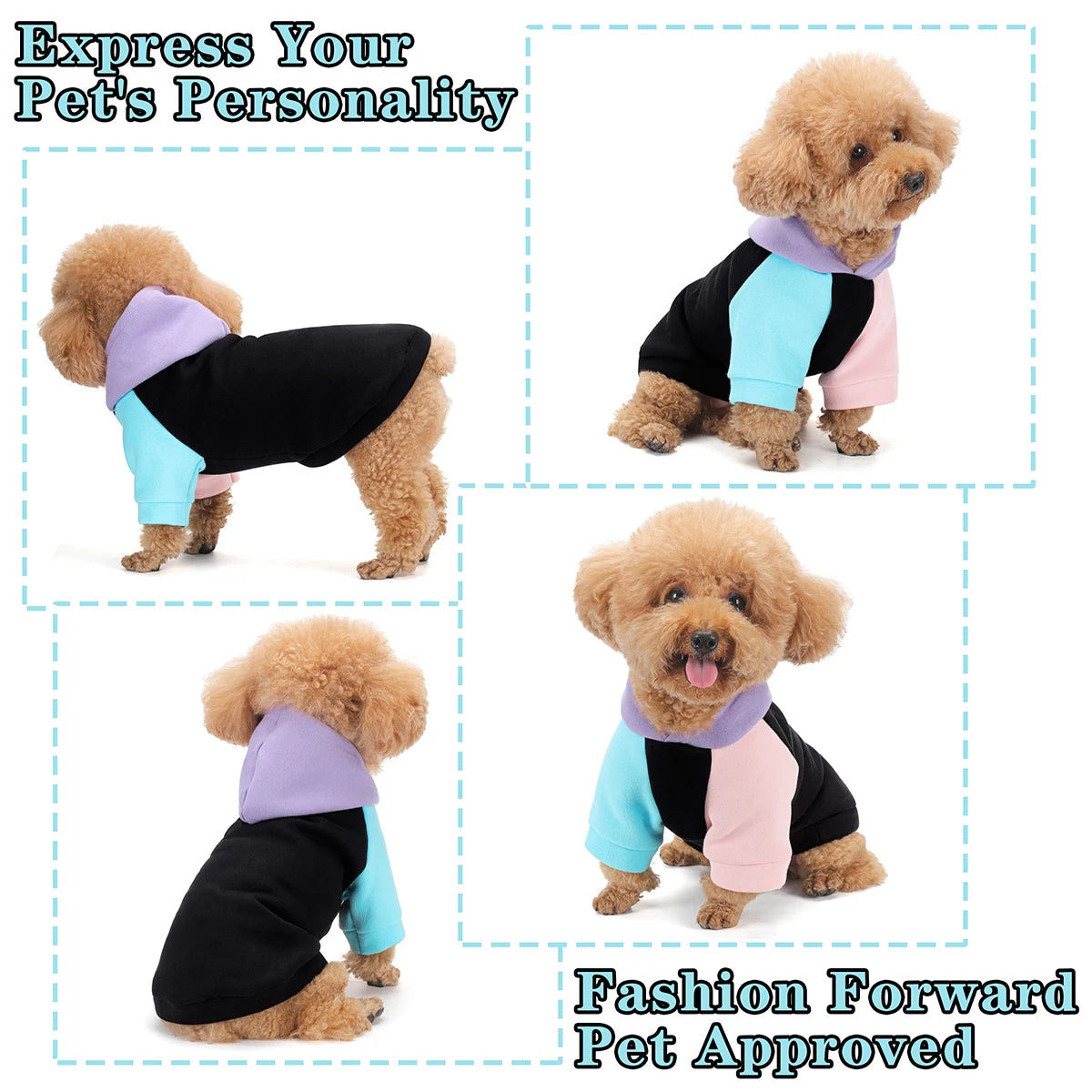 A set of pet hoodies in black, pink, and blue colors showing different dog personalities.
